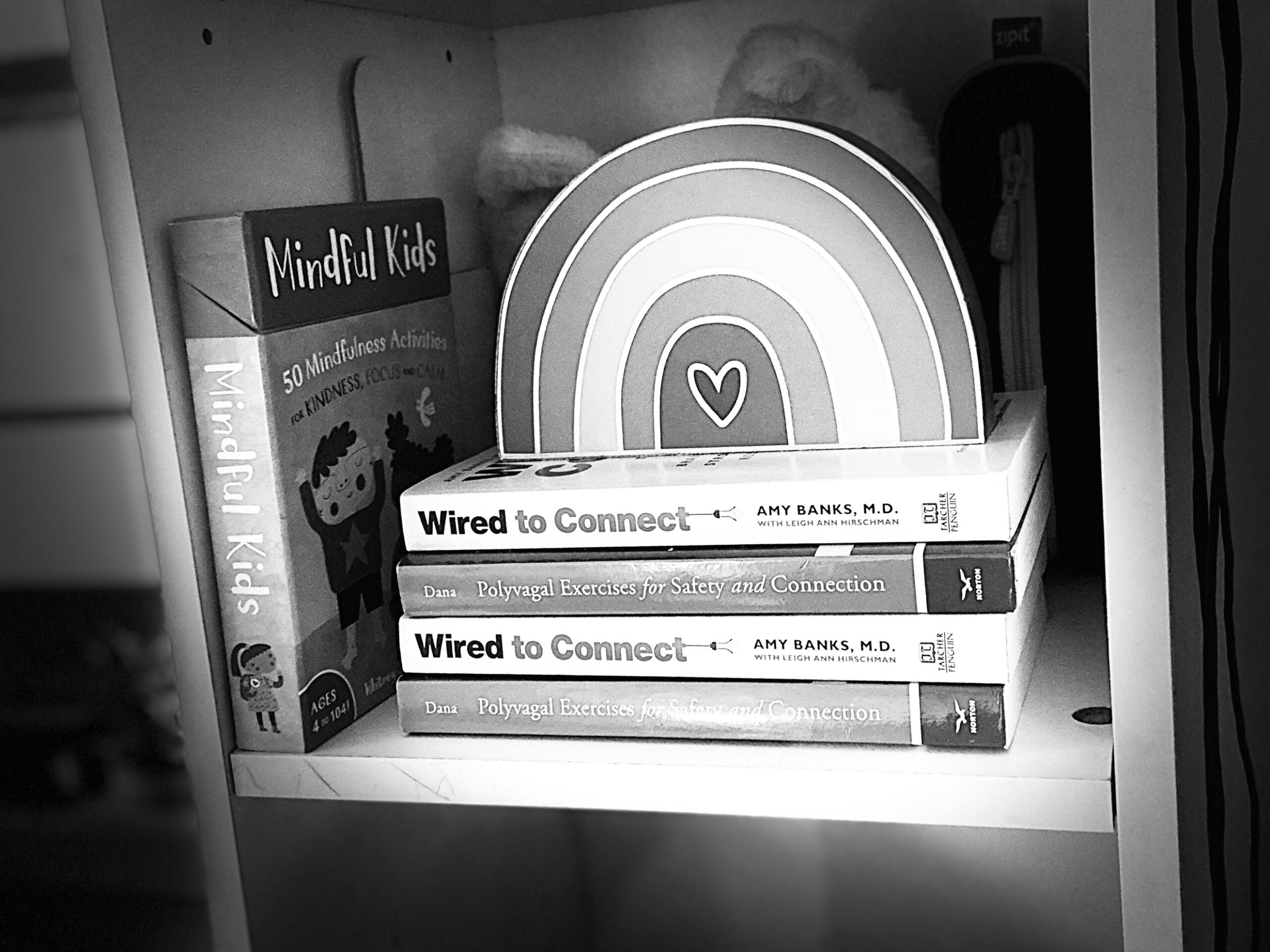 copies of the book Wired to Connect with a rainbow on top