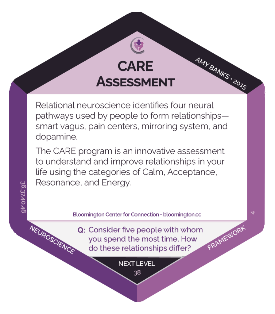 CARE assessment card that reads: Relational neuroscience identifies four neural pathways used by people to form relationships--- smart vagus, pain centers, mirroring system, and dopamine. The CARE program is an innovative assessment to understand and improve relationships in your life using the categories of Calm, Acceptance, Resonance, and Energy. 