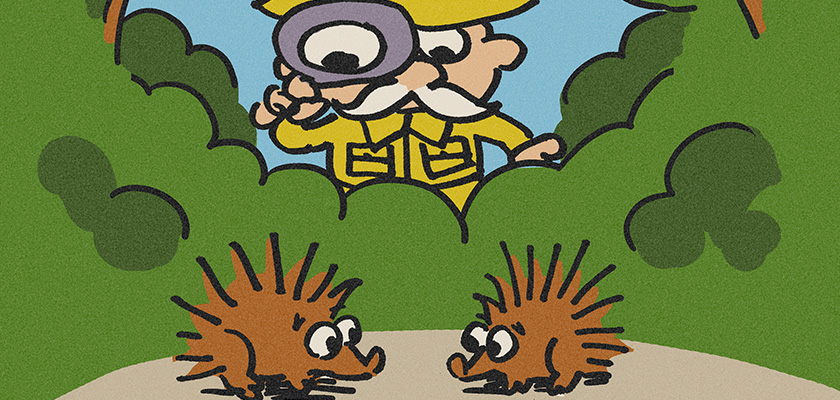 toybox-2026-centralrelationalparadox An image of a cartoon figure using a magnifying glass to study two hedgehogs trying to connect despite their bristles. This represents the key Relational Cultural Theory concept, the Central Relational Paradox.